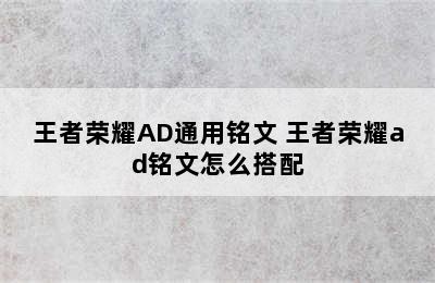 王者荣耀AD通用铭文 王者荣耀ad铭文怎么搭配